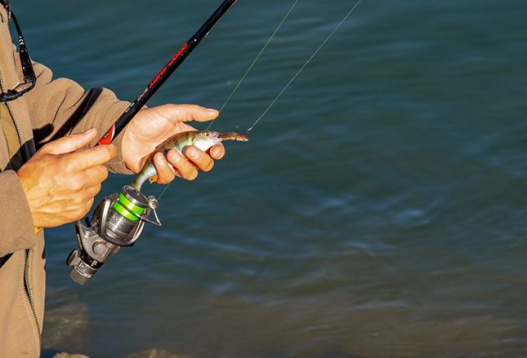 Comment s’initier à la pêche ?